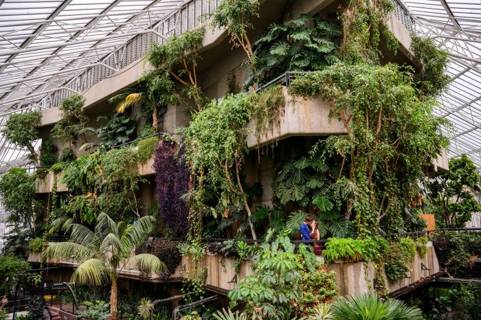 Barbican conservatory london jules photohound