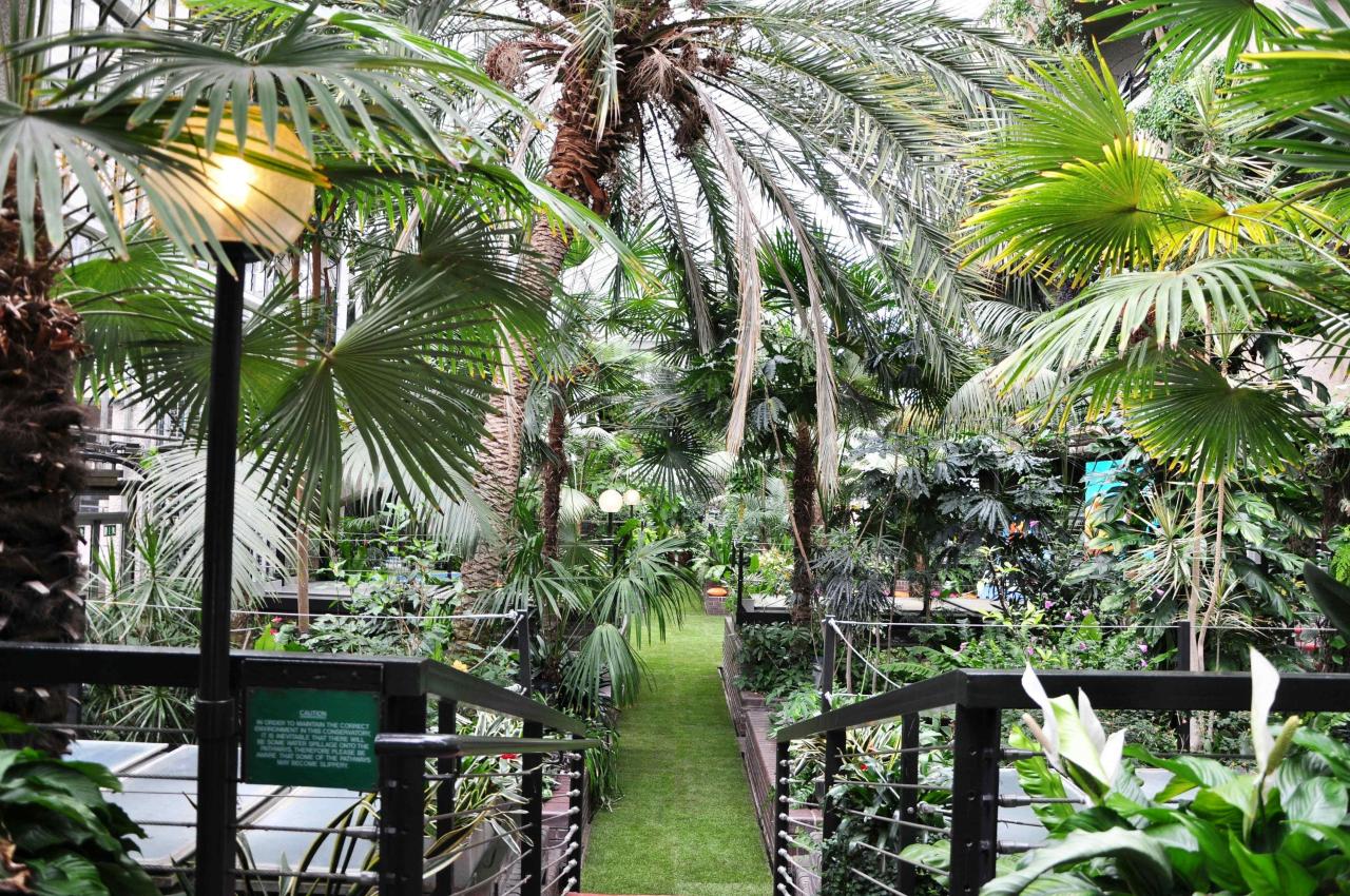 Barbican conservatory londres invernadero colson plena gardens rouvre fou rains meter wintergarten brutalist rincones spectator