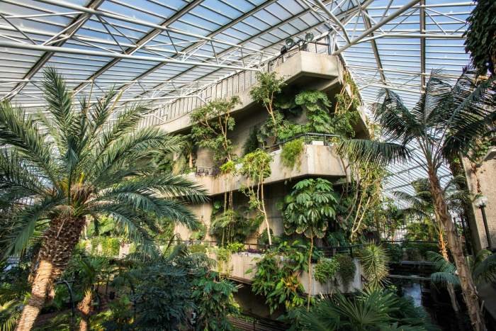 Barbican conservatory